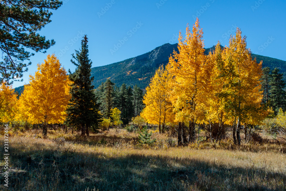 Fototapeta premium autumn in the mountains