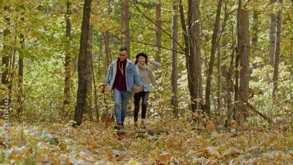Fullface Tilt down shot of young couple running in autumn forest with dog on leash Fullface Tilt down shot of young couple running in autumn forest with dog on leash