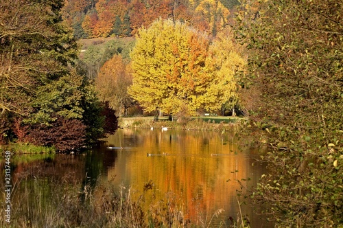 Fototapeta Naklejka Na Ścianę i Meble -  Treuchtlingen - Herbst im Kurpark