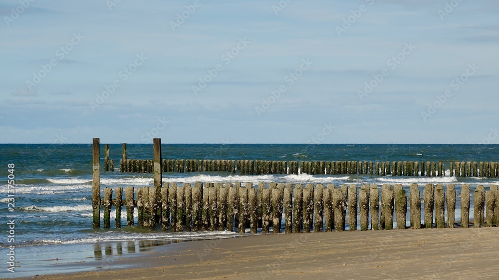 Wellenbrecher aus Holz am Nordseestrand in den Niederlanden