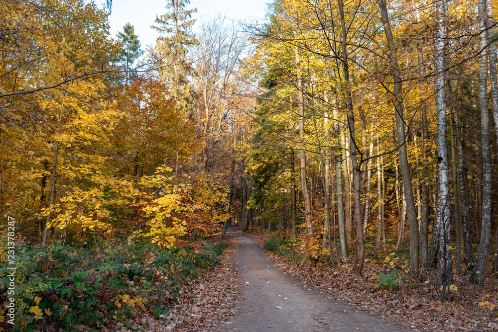 Nature scenery with lots of colorful foliage. Kashubia, northern Poland. Nature scenery with lots of colorful foliage. Kashubia, northern Poland.