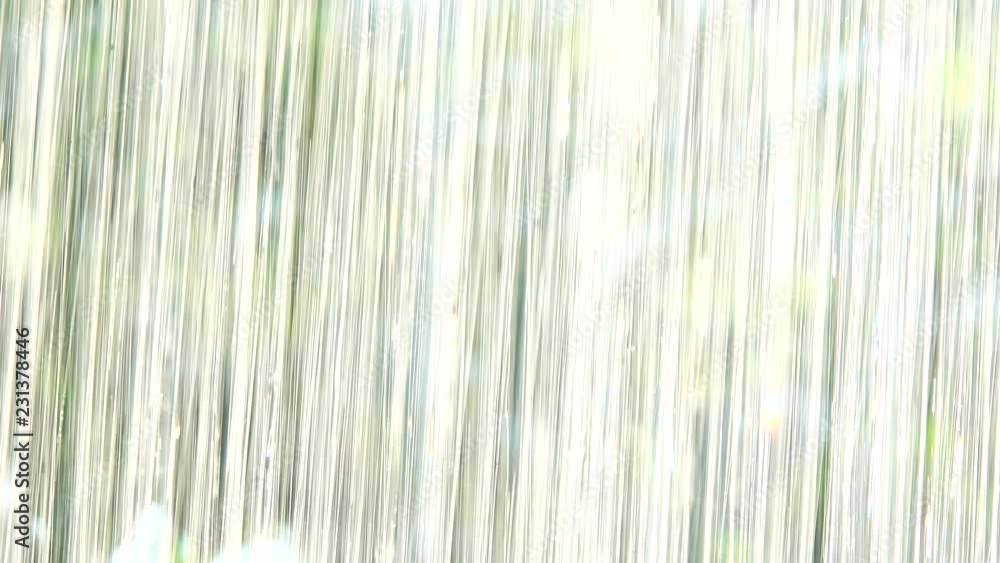 4K beuatiful flowers in the rain nature bavkgound. 4K beuatiful flowers in the rain nature bavkgound.