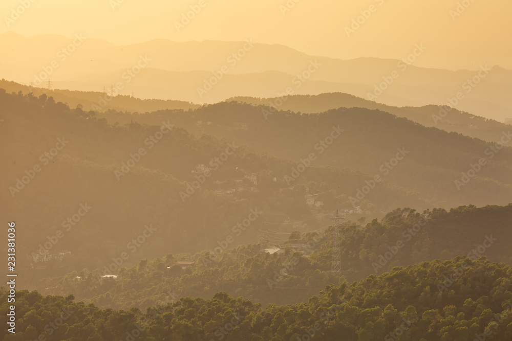 Scenic view to the hills covered with pine trees at sunset