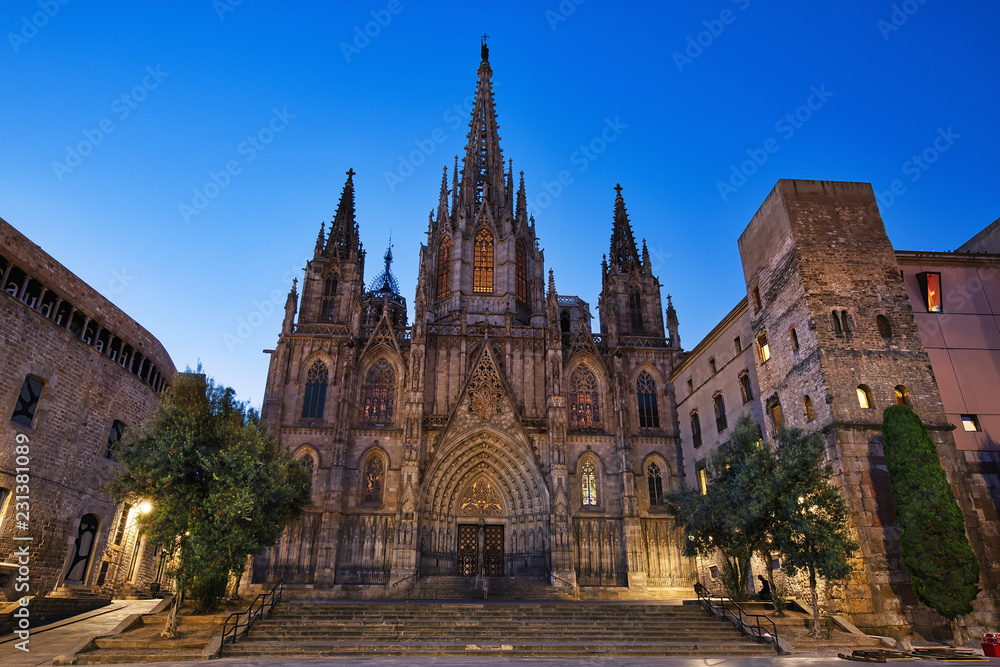 Obraz premium Barcelona cathedral before the dawn