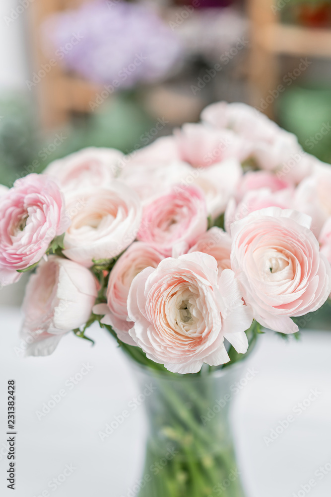 Obraz premium Ranunculus asiaticus or Persian Buttercup. Bunch of pastel pink blossom . Light gray background, glass vase. Wallpaper, flowers texture