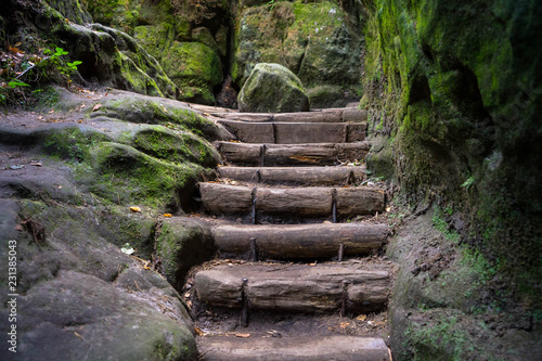 Bastei is the most famous rock formation in Saxon Switzerland  Germany. Bastei and the Bastei Bridge are the highlights of the german Saxon Switzerland.