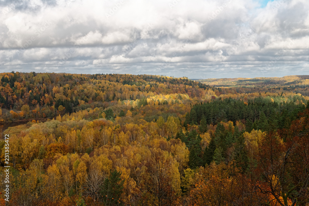 Autumn landscape with trees, October, Latvia