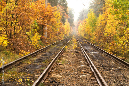 Tram rails in the autumn forest of Kiev, Ukraine
