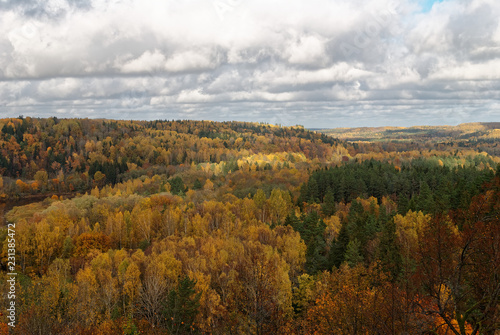Autumn landscape with trees, October, Latvia