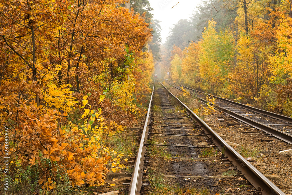 Fototapeta premium Tram rails in the autumn forest of Kiev, Ukraine