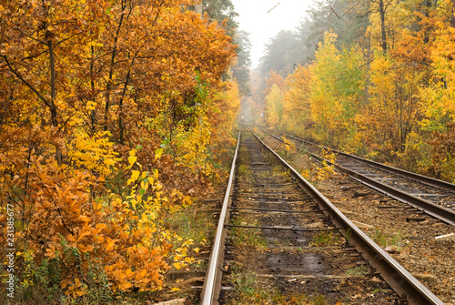 Tram rails in the autumn forest of Kiev, Ukraine