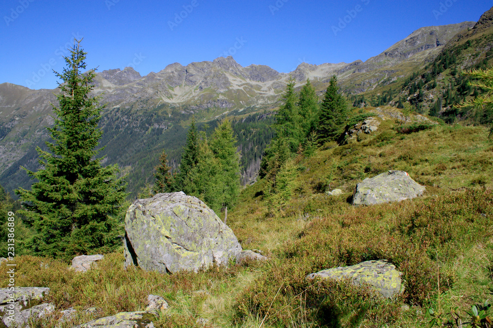 Landscape of Lower Tauern (Niedere Tauern), with mount Torwart, Alps, Austria