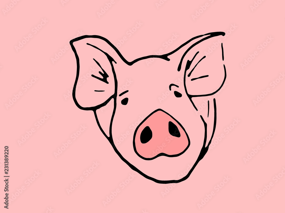 Muzzle pig close up on a white background. Sketch. Muzzle pig close up on a white background. Sketch.