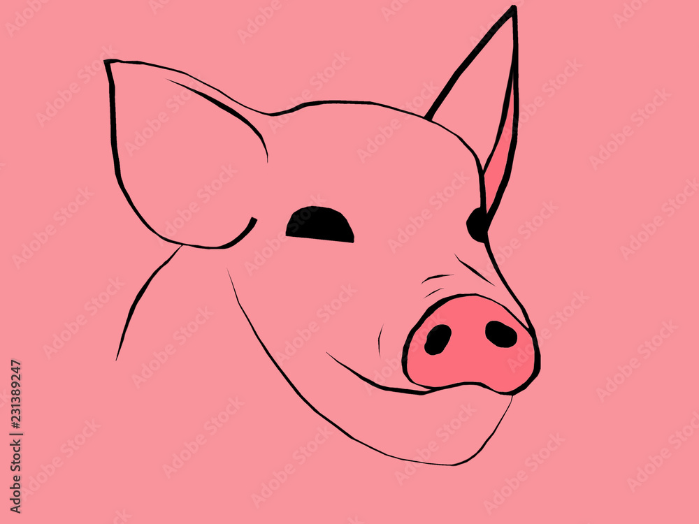 Fototapeta Muzzle pig close up on a white background. Sketch.