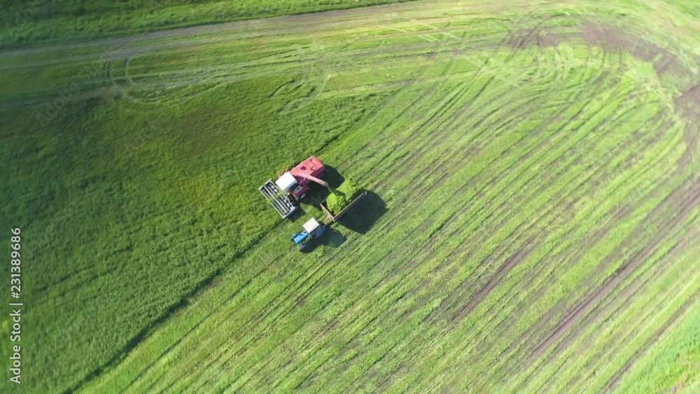 The combine harvester removes the green grass. The mown grass is reloaded into the tractor trailer. The combine harvester removes the green grass. The mown grass is reloaded into the tractor trailer.