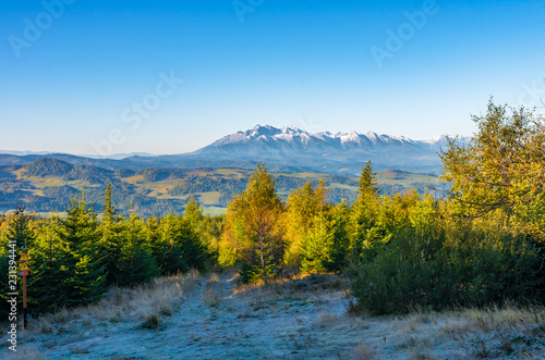 Morning panorama of snowy Tatra Mountains over colorful autumn forest, Poland