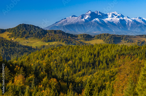 Fototapeta Naklejka Na Ścianę i Meble -  Morning panorama of snowy Tatra Mountains over colorful autumn forest, Poland