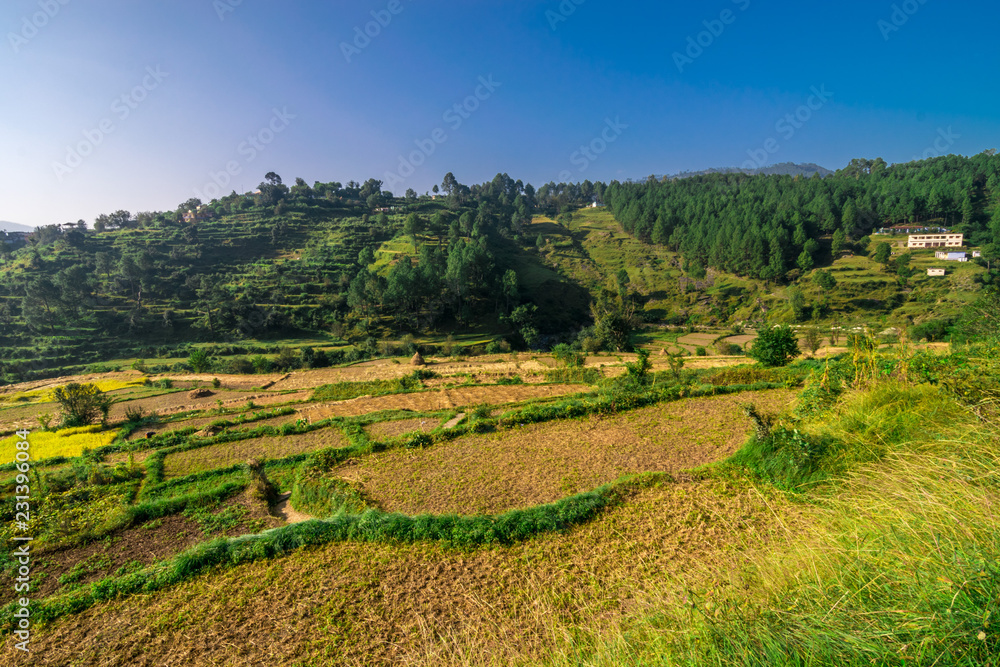 Farming in Himalayas in Bageshwar, Uttarakhand, India