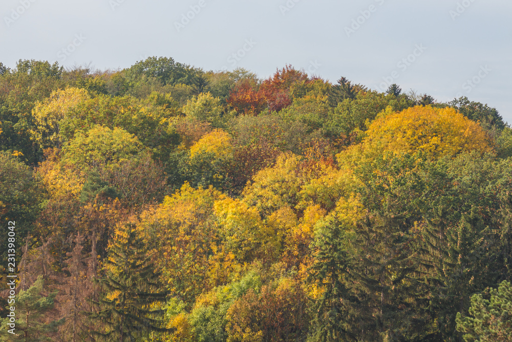 Landschaft im Herbst