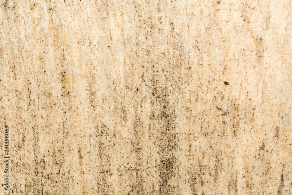 texture of old raw wood with protruding fibers, abstraction background texture of old raw wood with protruding fibers, abstraction background