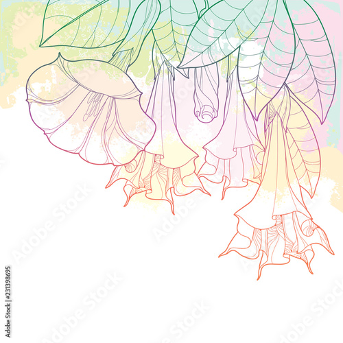 Vector corner bunch with Angels Trumpets outline flower, bud and ornate leaves in pastel orange and pink on the textured background. Contour branch of Brugmansia for tropical summer design. 