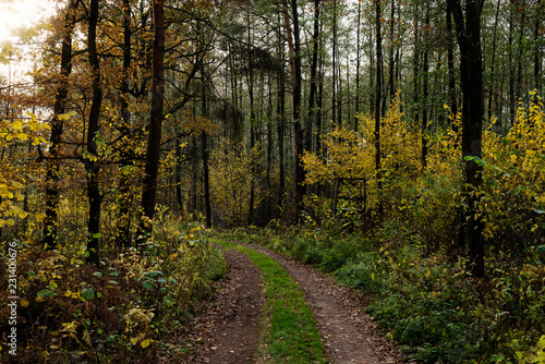 Jesienny krajobraz 3 © Maurycy