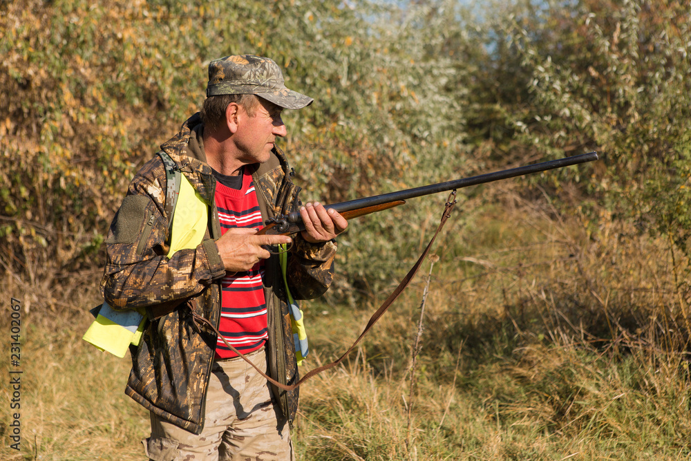 Fototapeta premium Hunter with a german drathaar and spaniel, pigeon hunting with dogs in reflective vests