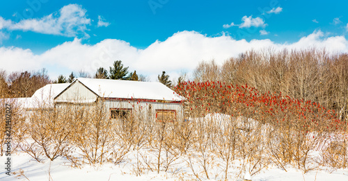 Antique barn in rural Quebec Canada in a snowy seasonal background.