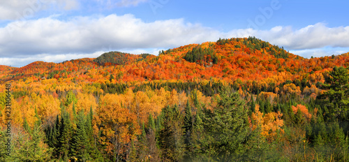 Beautiful panoramic landscape of fall foliage in Quebec