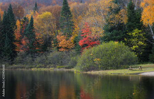 Autumn tree reflections at Lac Chat in Mont Tremblant national park
