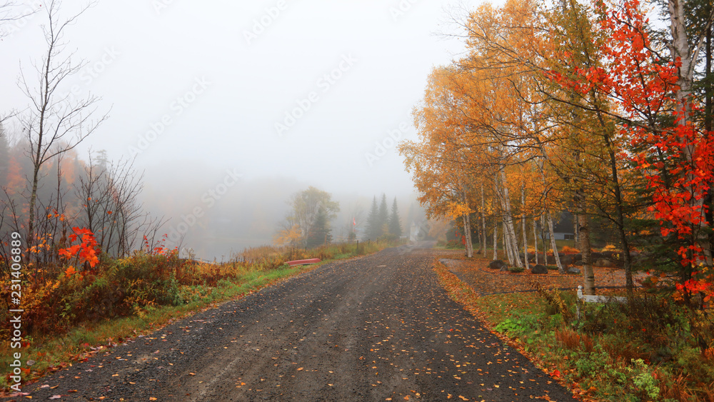 Scenic road through Quebec countryside in autumn time