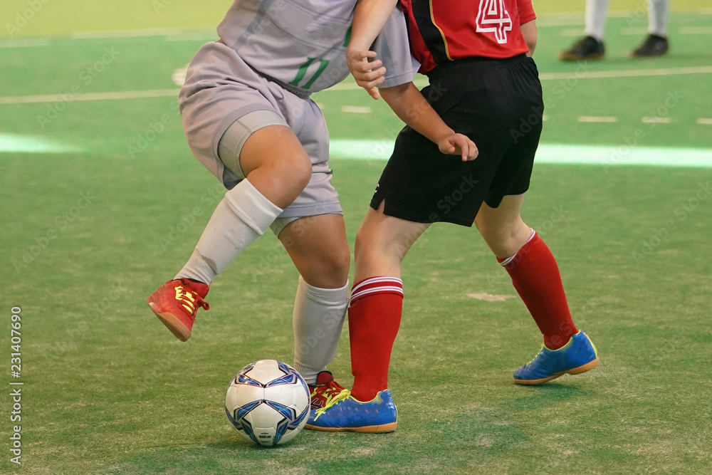 Obraz premium フットサル