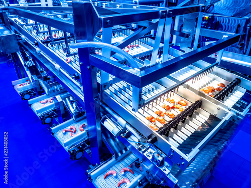Conveyor line. Shrimp proce...