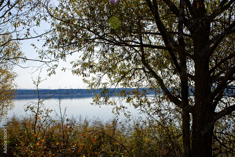 beautiful colors of autumn