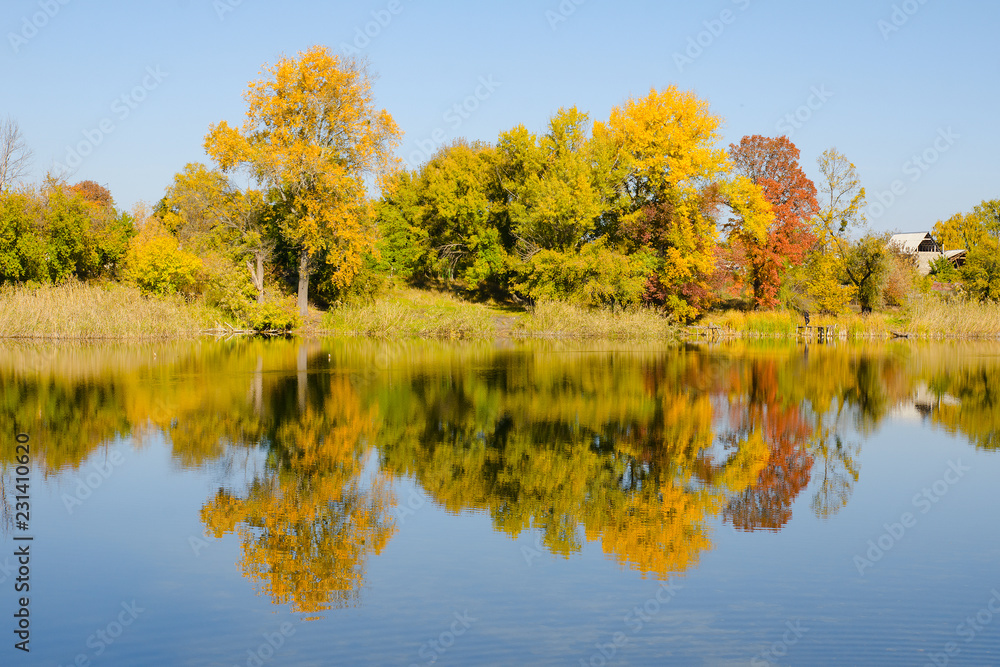 Autumn deciduous forest reflected in the river. Bright blue sky