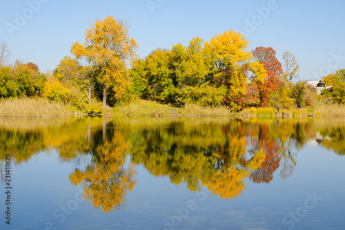 Autumn deciduous forest reflected in the river. Bright blue sky