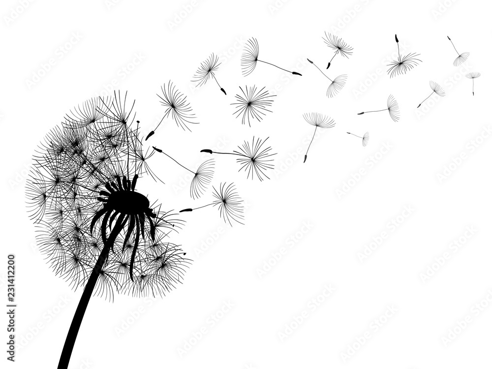 Plakat Abstrakcjonistyczny czarny dandelion, dandelion z latającymi ziarnami - dla zapasu