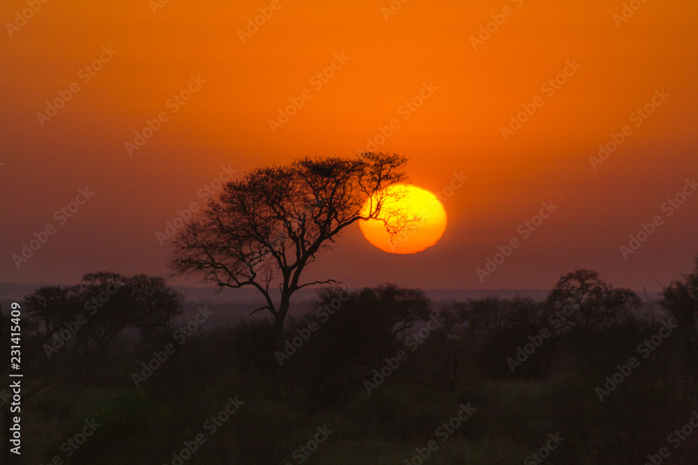 Fototapeta premium Afrika sundown classical