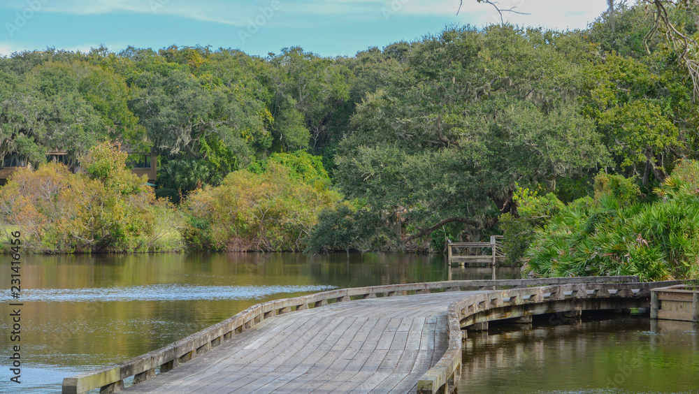 Wood bridge near Amelia Plantation in Nassau County, Florida. Wood bridge near Amelia Plantation in Nassau County, Florida.