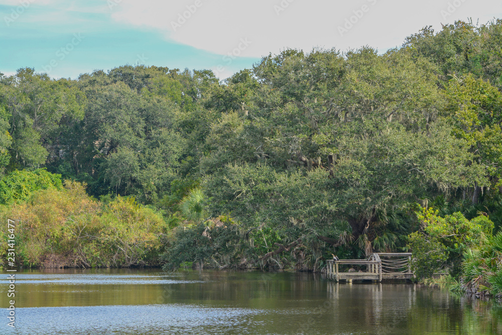 A dock on a lake near Amelia Plantation in Nassau County, Florida.