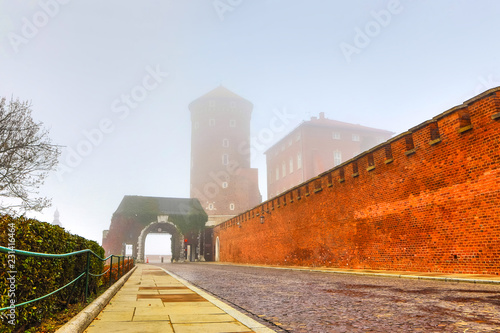 General view of Wawel Castle in misty morning. Residency located in central Kraków, Poland. For centuries residence of kings and the symbol of Polish statehood.