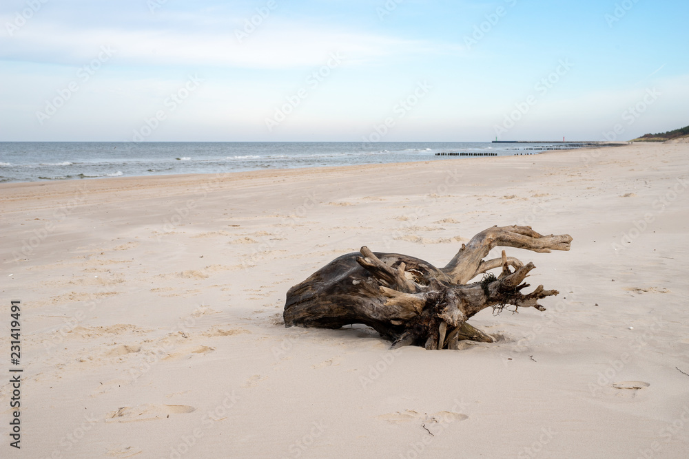 Autumn beach by the sea in central Europe. Baltic sea coast. Autumn beach by the sea in central Europe. Baltic sea coast.