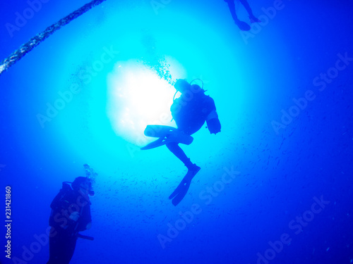 Wallpaper Mural submariner under the ocean Torontodigital.ca