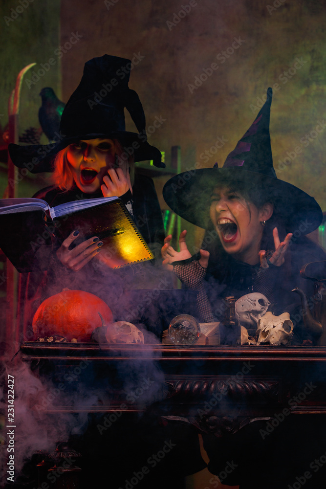 Image of laughing two witches in black hats reading book of incantations on cauldron with steam Image of laughing two witches in black hats reading book of incantations on cauldron with steam