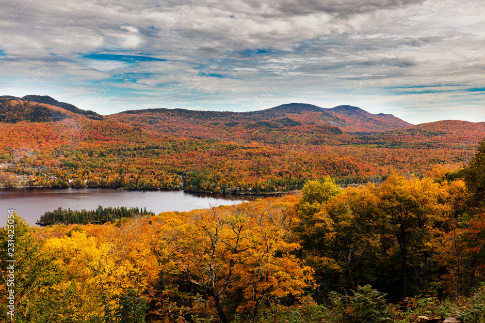 Fall scene in the Quebec cottage country with golden leaves and fall colors.