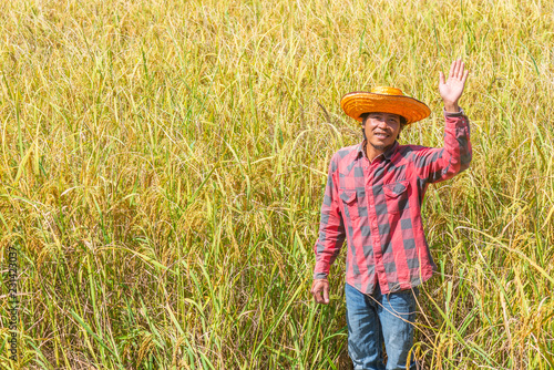 Happy Farmer Standing in the rice field for harvesting.
