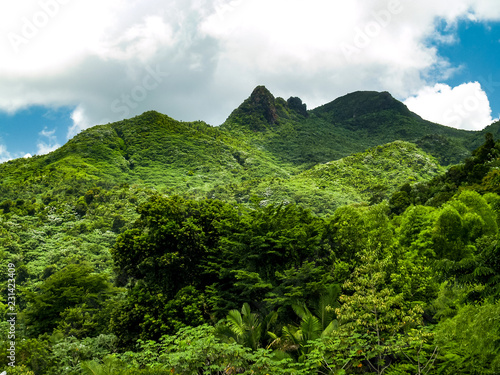 El Yunque National Forest  Puerto Rico