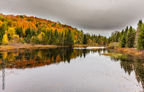 Fall scene in the Quebec cottage country with golden leaves and fall colors.