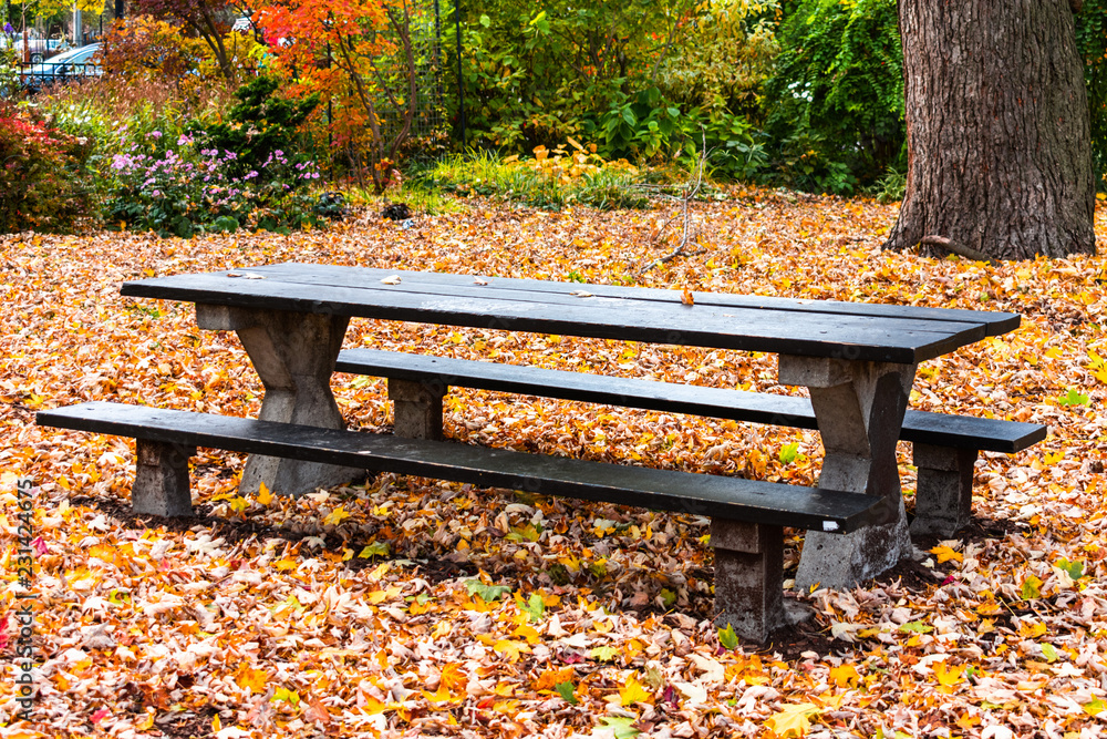 Black Picnic Table in a Park during Autumn surrounded by Fallen Leaves Black Picnic Table in a Park during Autumn surrounded by Fallen Leaves