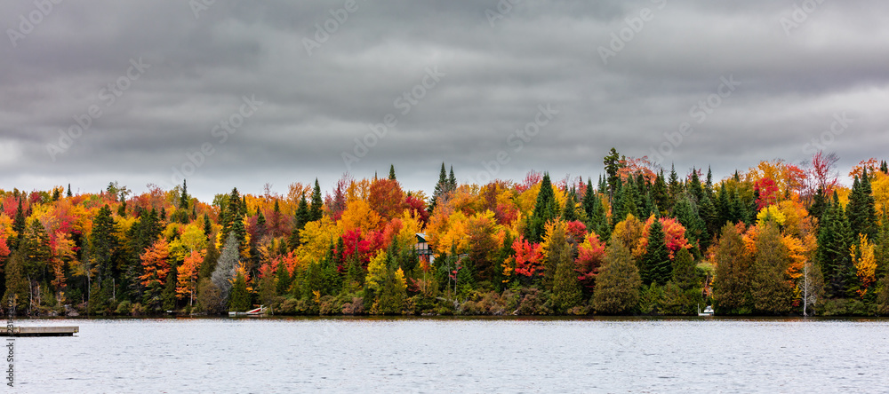Fototapeta premium Fall colors in cottage country in the Laurentians, Quebec, Canada.